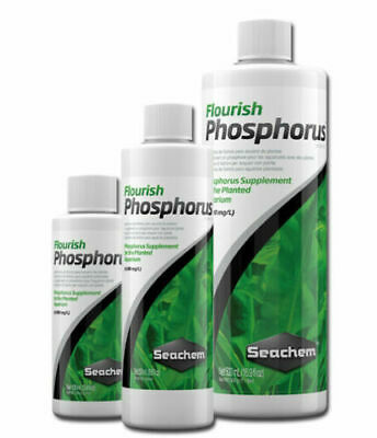 Fleurir phosphore