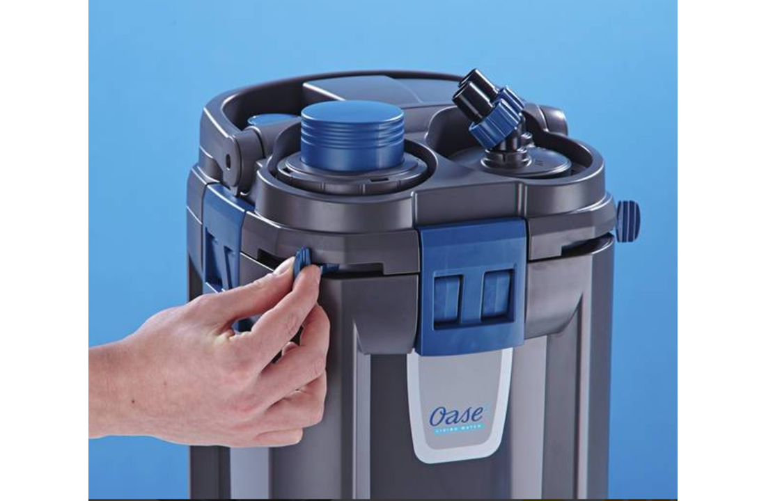 Oase BioMaster Thermo 250