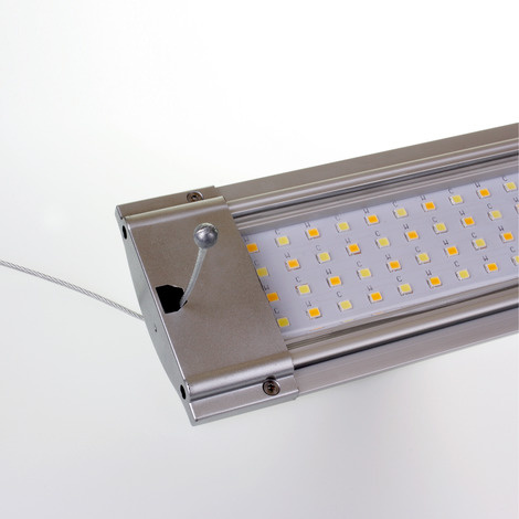 Twee graden strelen Junior JBL LED SOLAR HANGING kit - Aquarium Verlichting ophangsysteem - Alles voor  Aquascaping