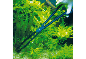 Pince à planter droite pour aquarium