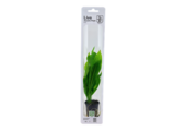 Tropica Echinodorus 'Bleherae' easy