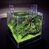 Cube de jardin ada cube