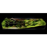 ADA Cube garden Shallow