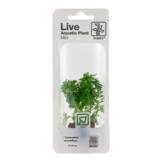 Tropica Limnophila Sessiliflora (facile)