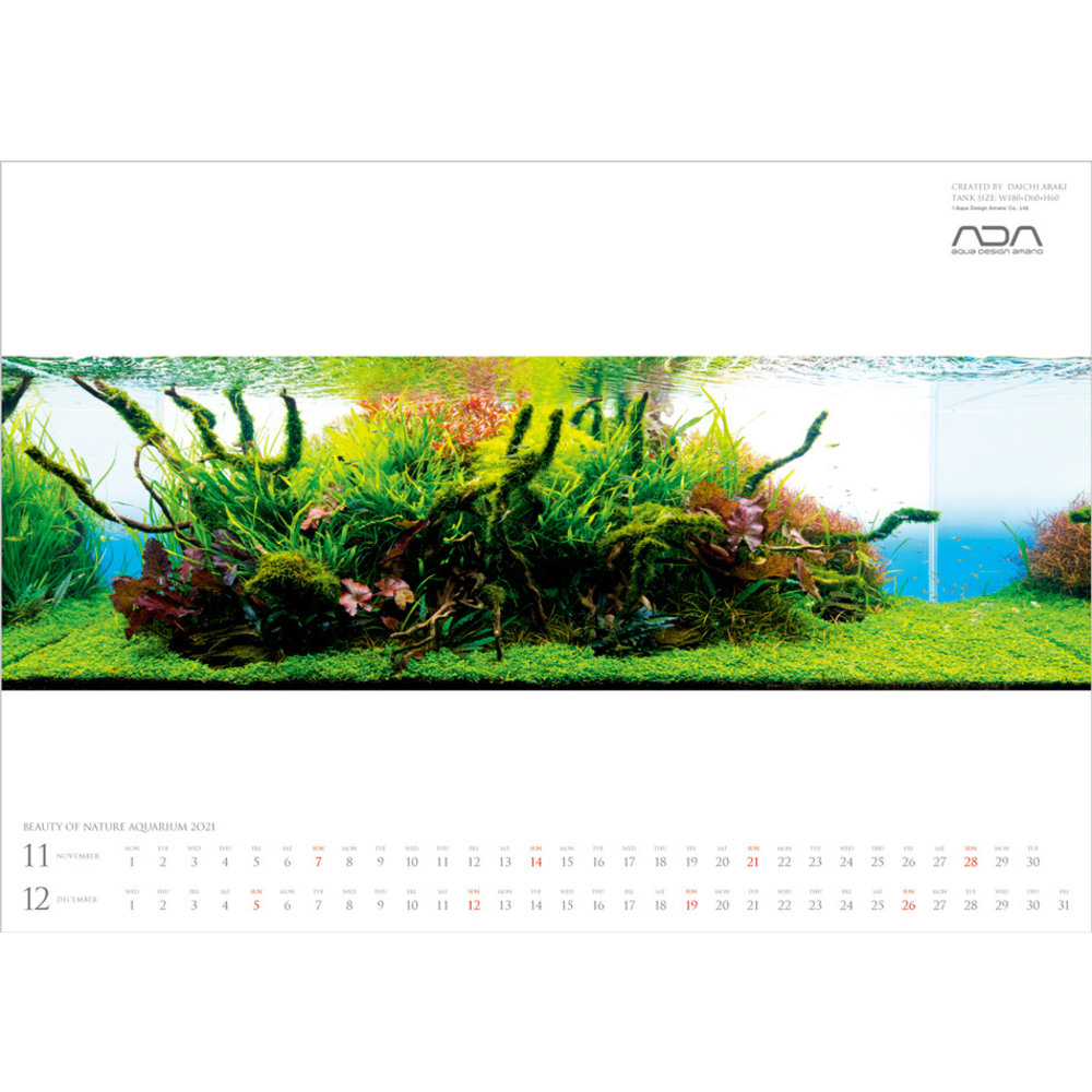 Ada Nature Aquarium Kalender 21 Alles Voor Aquascaping