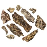 Set of Dragon Stone - Dragons stone