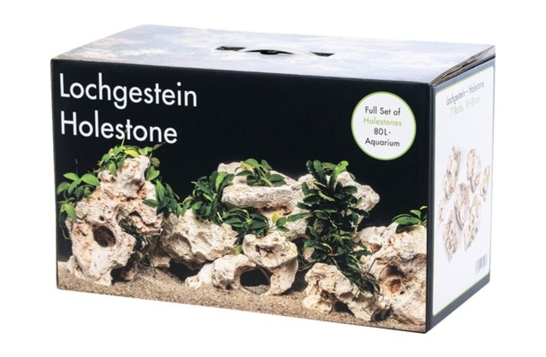 Set Multi-Holestone