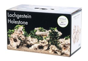 AquaOne Set di pietre per acquario, con radice W2, 13 pietre naturali con  drago, circa 20 kg e radice di muschio, roccia acquascaping I rocce  decorazione parete posteriore : : Prodotti per