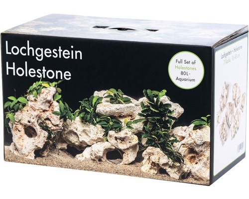 Set Multi-Holestone