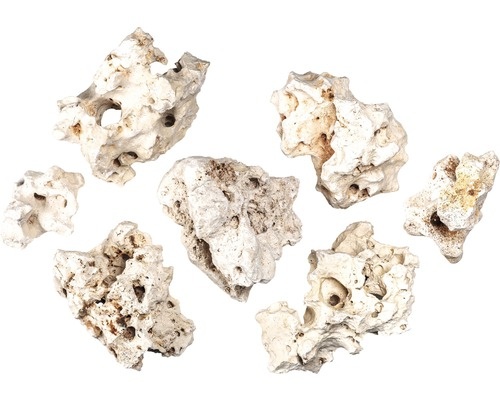 Set Multi-Holestone