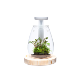 DOOA Wabi kusa set SHIZUKU