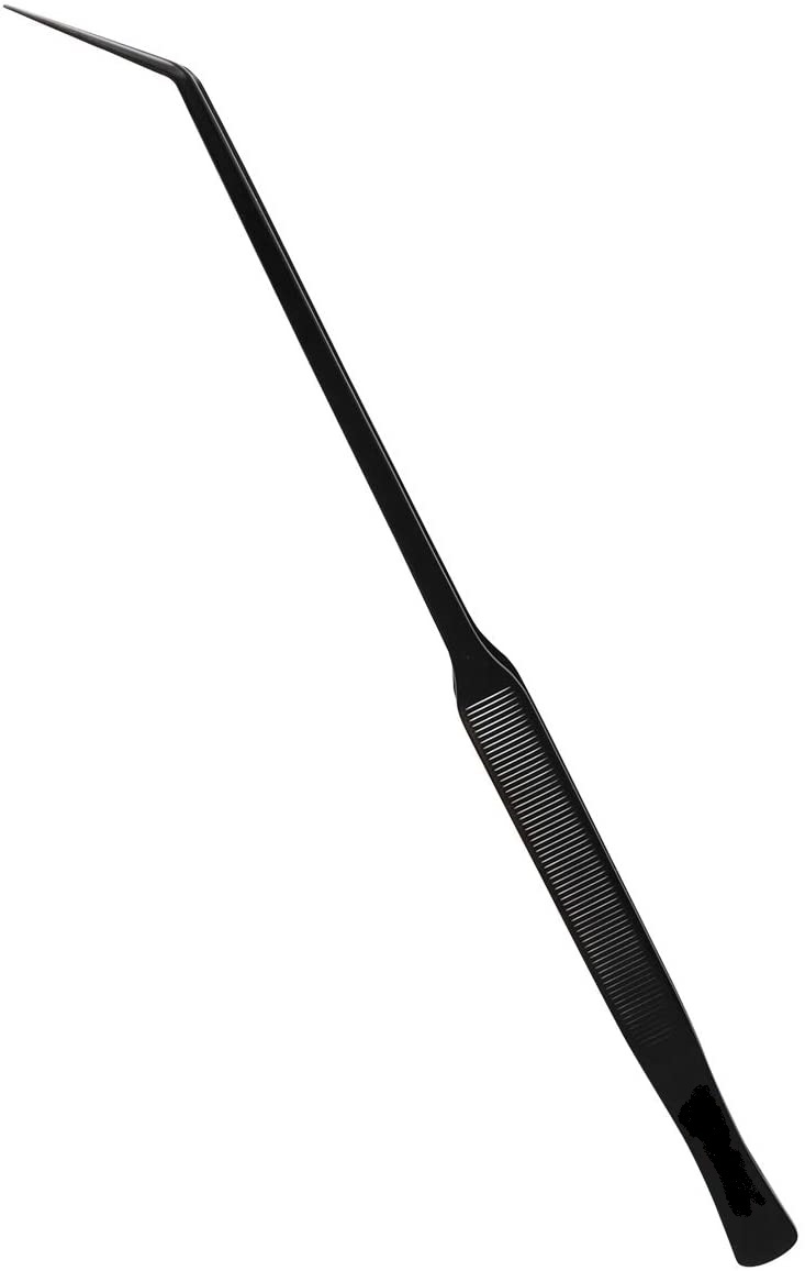 Plantes pinces P27 Blackline incurvee