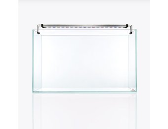 Aquarium optique-blanc Sado/Duro 60p