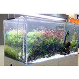 Quotation ILA Optic White - Aquascaping Aquarium