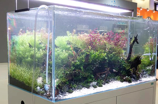 Quotation ILA Optic White - Aquascaping Aquarium Optic White L130XB40XH60 - 12 mm