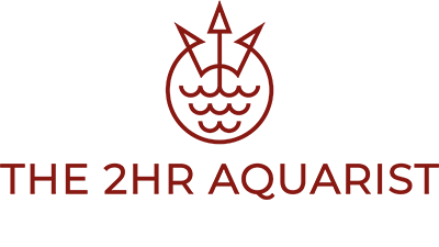 2Hr Aquarist