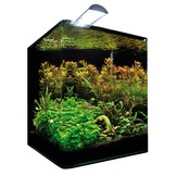 Dennerle Nano Cube Aquarium Basic