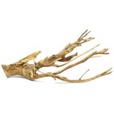 Talawa wood