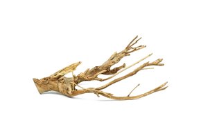 Talawa wood
