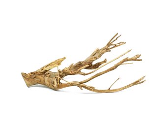 Talawa wood