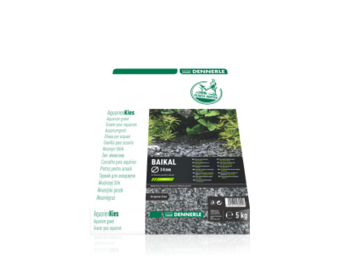 Dennerle Gravier Plantahunter Baikal