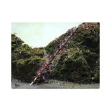 GlasGarten Shrimp Lollies - 4in1 sticks - 8 pcs