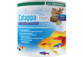 Dennerle Catappa leaves 10 pcs