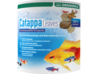 Dennerle Catappa leaves 10 pcs