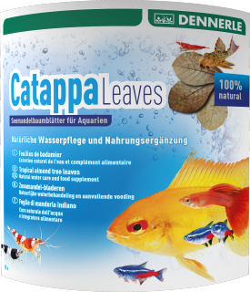 Dennerle Catappa leaves 10 pcs
