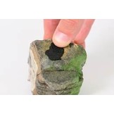 Dennerle Shrimp king Yummi Gum 50g