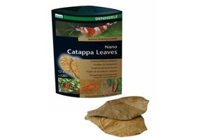 Dennerle Nano Catappa Leaves 12pc.