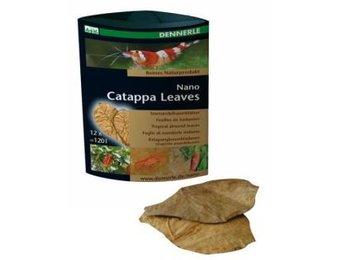 Dennerle Nano Catappa Leaves 12pc.