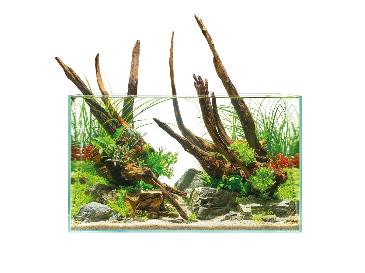 Oase ScaperLine Aquarium
