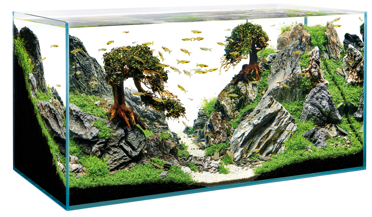 Oase ScaperLine Aquarium