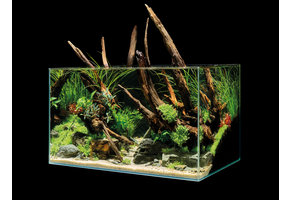 Oase ScaperLine Aquarium