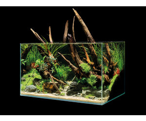 Oase ScaperLine Aquarium 