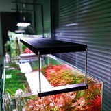 CHIHIROS WRGB II PRO light - verlichting (bluetooth)