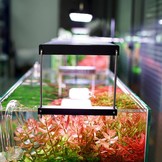 Chihiros WRGB II PRO Light - Lighting (Bluetooth)