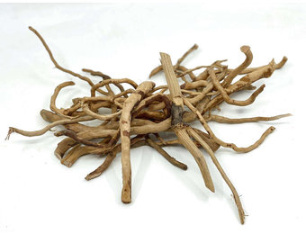 Scaping Twigs Spider wood