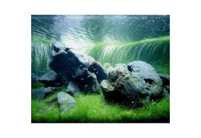 aquarium hardscape stones 