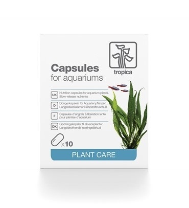 Capsules de sol Tropica