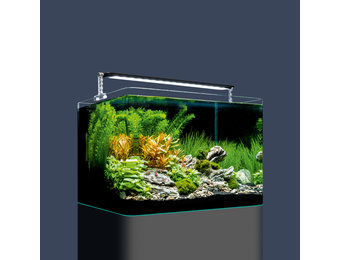 Dennerle Nano Tank Plant pro