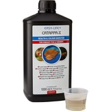 Easy Life - Catappa-Xa