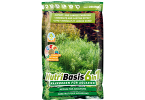 Dennerle NutriBasis 6 in 1 -  2.4 kg