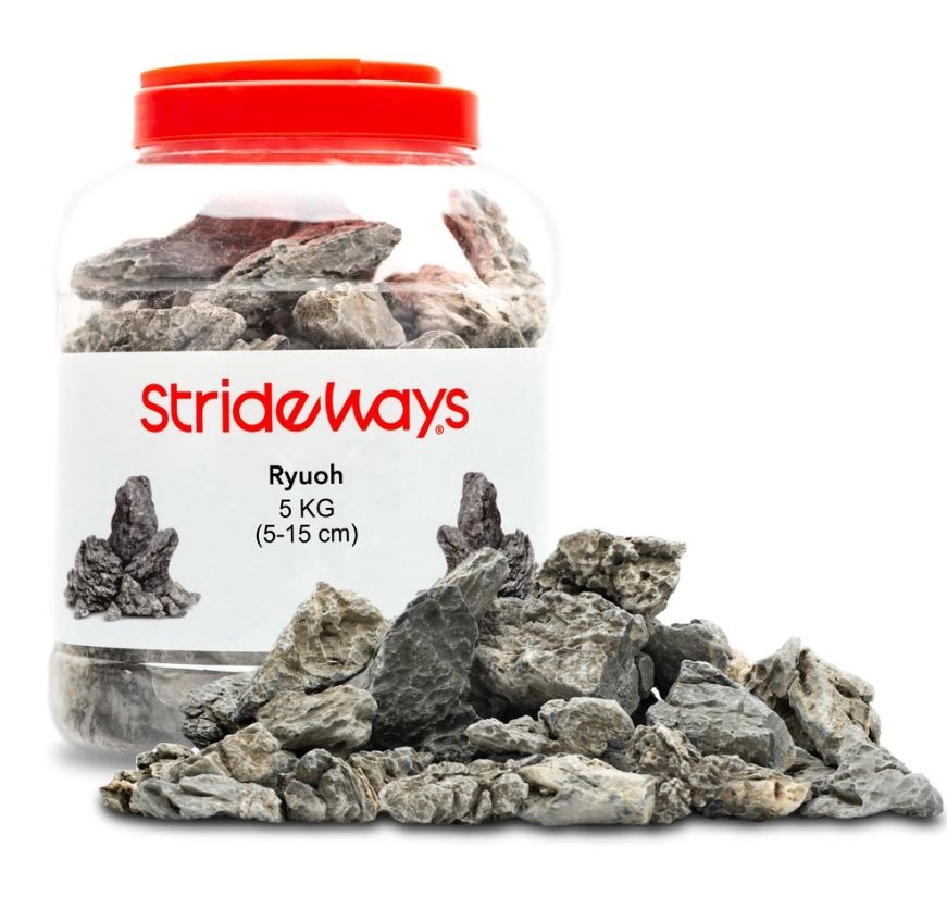 Strideways Ryuoh Stone Bottle