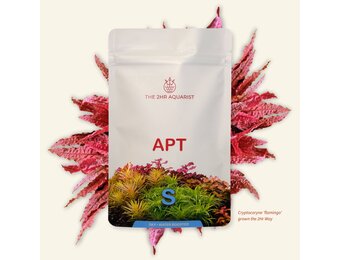 APT Sky - remineralisatie