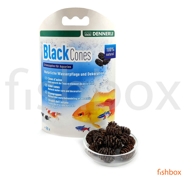Dennerle Black Cones 50 pc.
