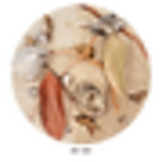 Wio Rivulet - Biotope Beds - 2 kg