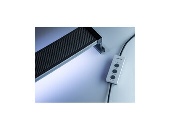 Twinstar lighting A-line