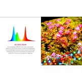 Twinstar verlichting S-line  IV